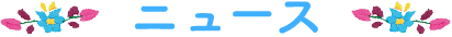 ニュース